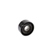 تصویر پولی هرزگرد دینام رنو ال نود